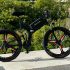 The Ultimate Vancouver E Bike Guided Tour Experience!